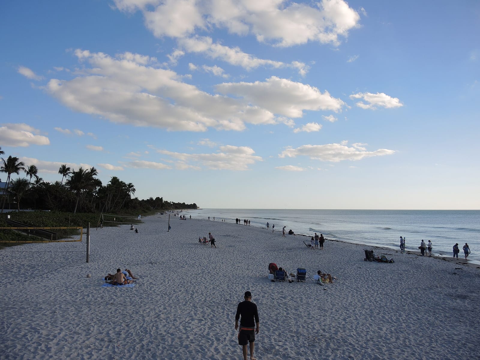 16th Avenue South Beach: sandy beach with scattered visitors, ocean, palm trees, blue sky