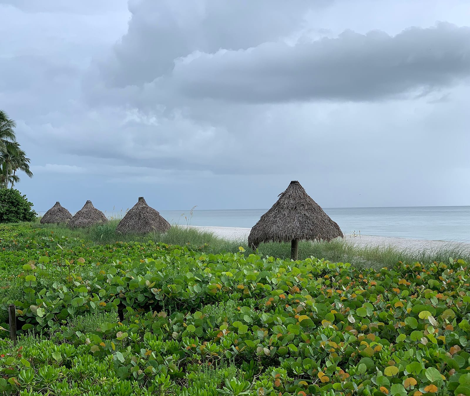 4th Avenue North Beach: thatched huts on beach with vegetation and cloudy sky