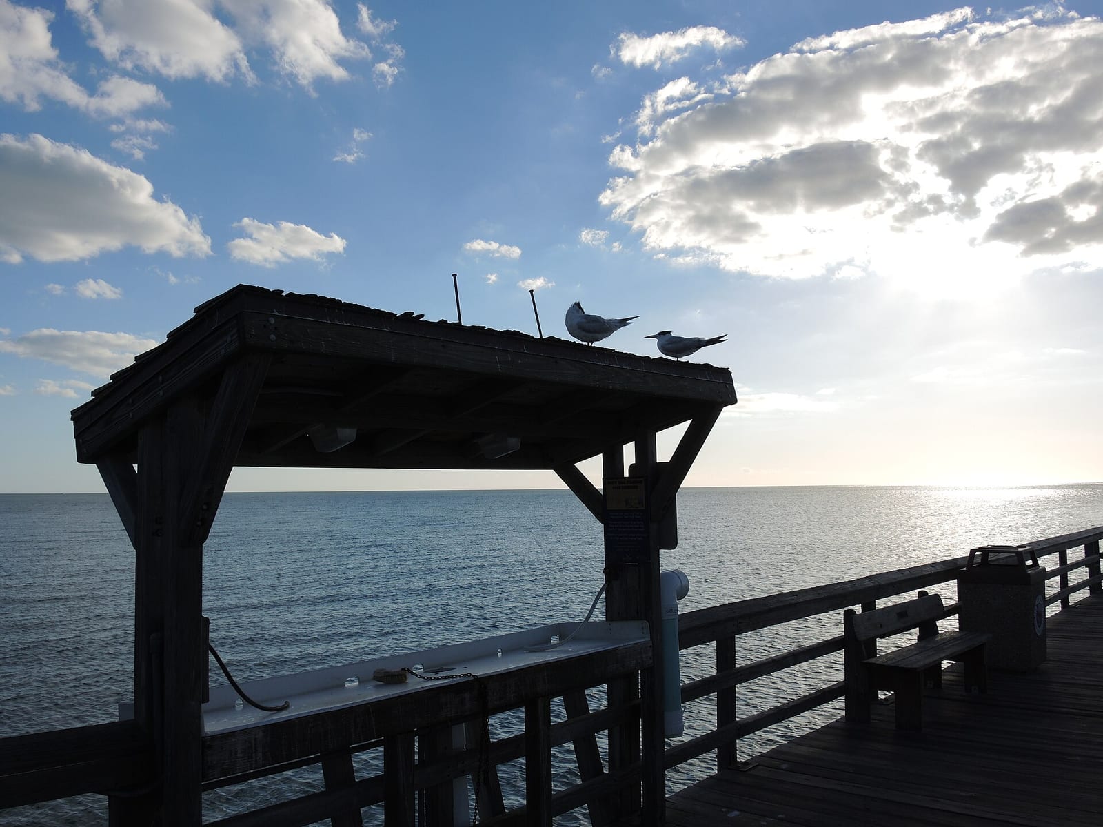 5th Avenue South Beach: wooden pier with pergola structure overlooking calm ocean water