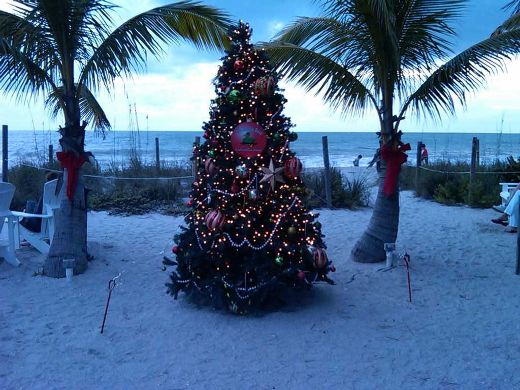 Allison Hagerup Beach: christmas tree decorated on beach with palm trees and ocean