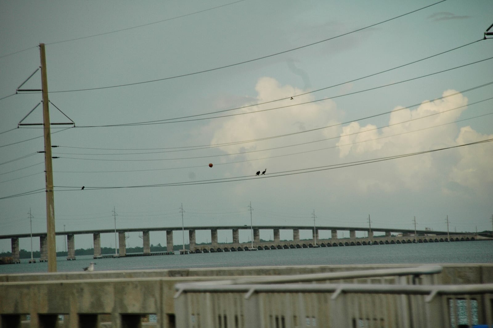Anne's Beach: long bridge spanning water with utility poles and power lines