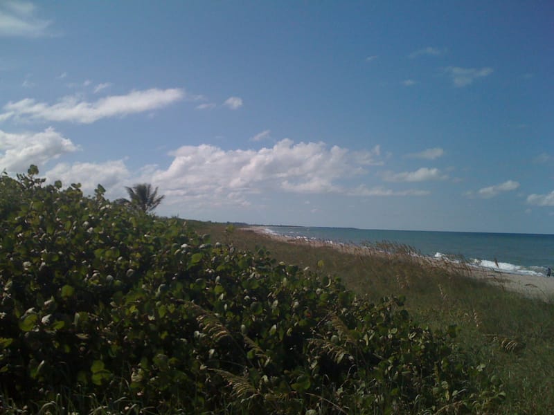 Bonair Beach: beach with dunes, coastal vegetation, ocean and sky with clouds