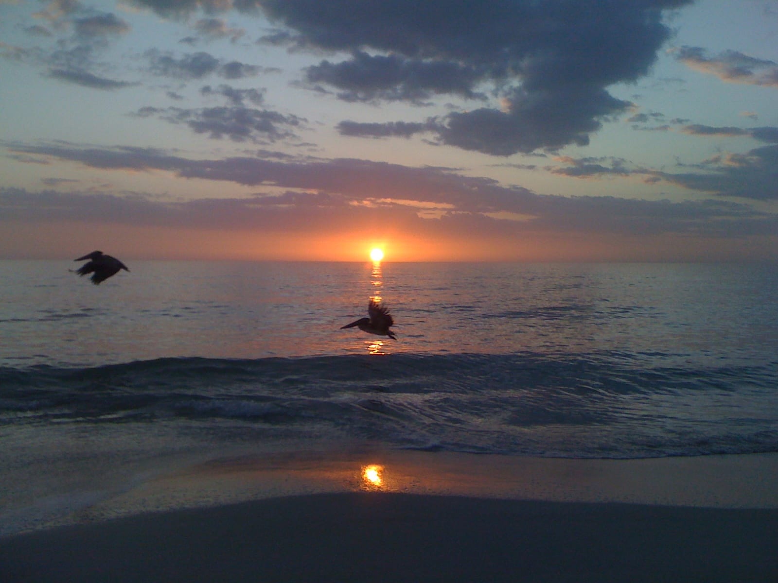 Bonita Beach: sunset over ocean with birds flying, waves and beach shoreline