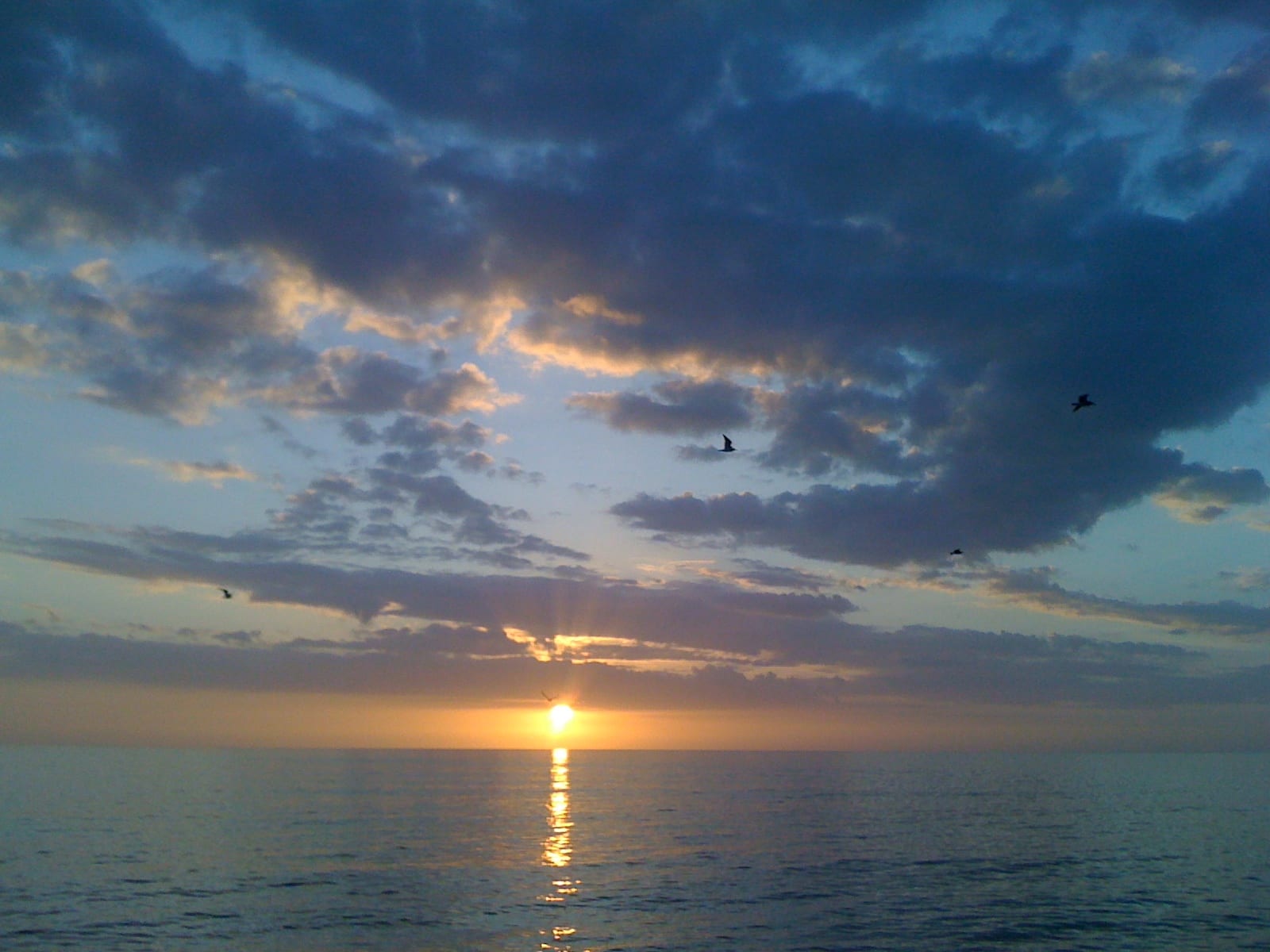 Bonita Beach: sunset over ocean with clouds and flying birds