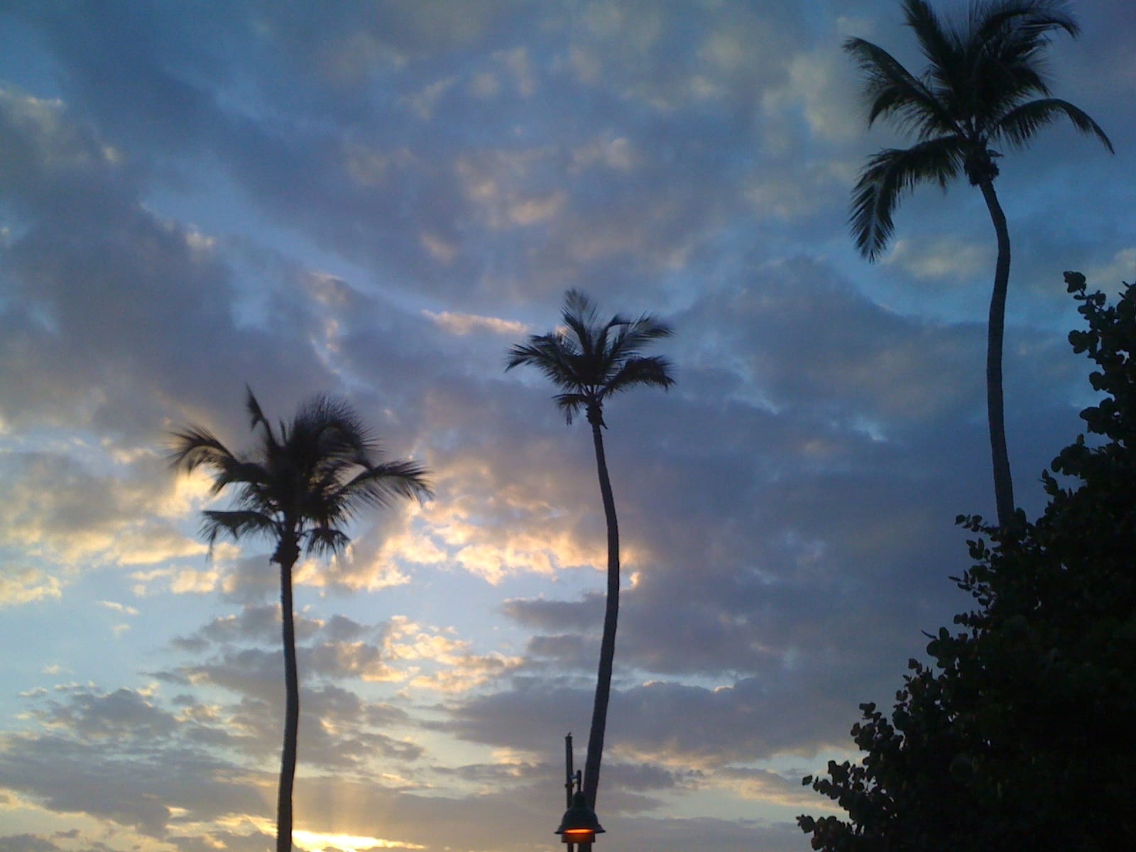 Bonita Beach: palm trees silhouetted against dramatic sunset sky and clouds