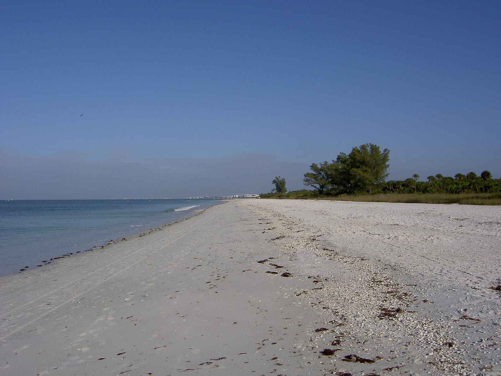 Channel Drive Beach: sandy beach with calm turquoise water and vegetation along shoreline