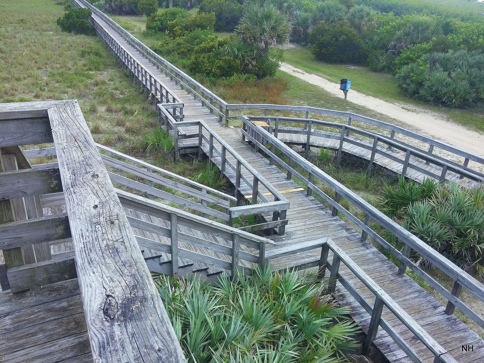 Disappearing Island: wooden boardwalk and stairs through coastal vegetation and marshland