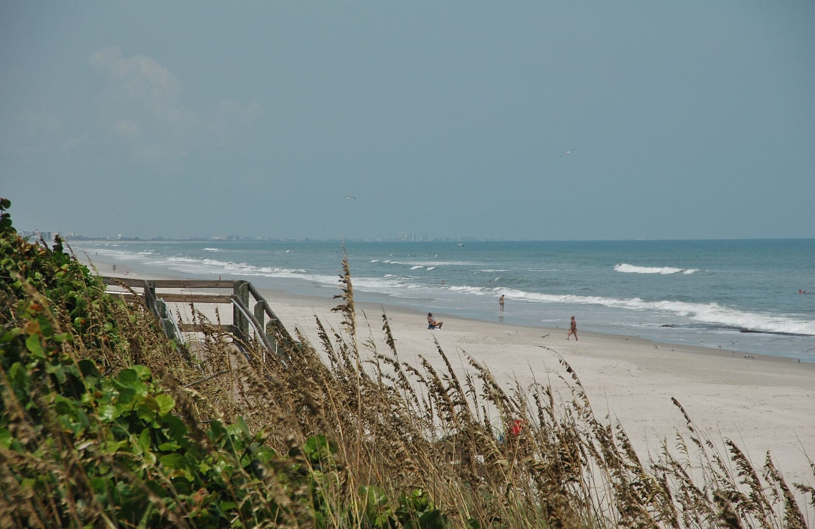 Eau Gallie Beach: beach with wooden walkway, dunes, sea grass, and swimmers in distance