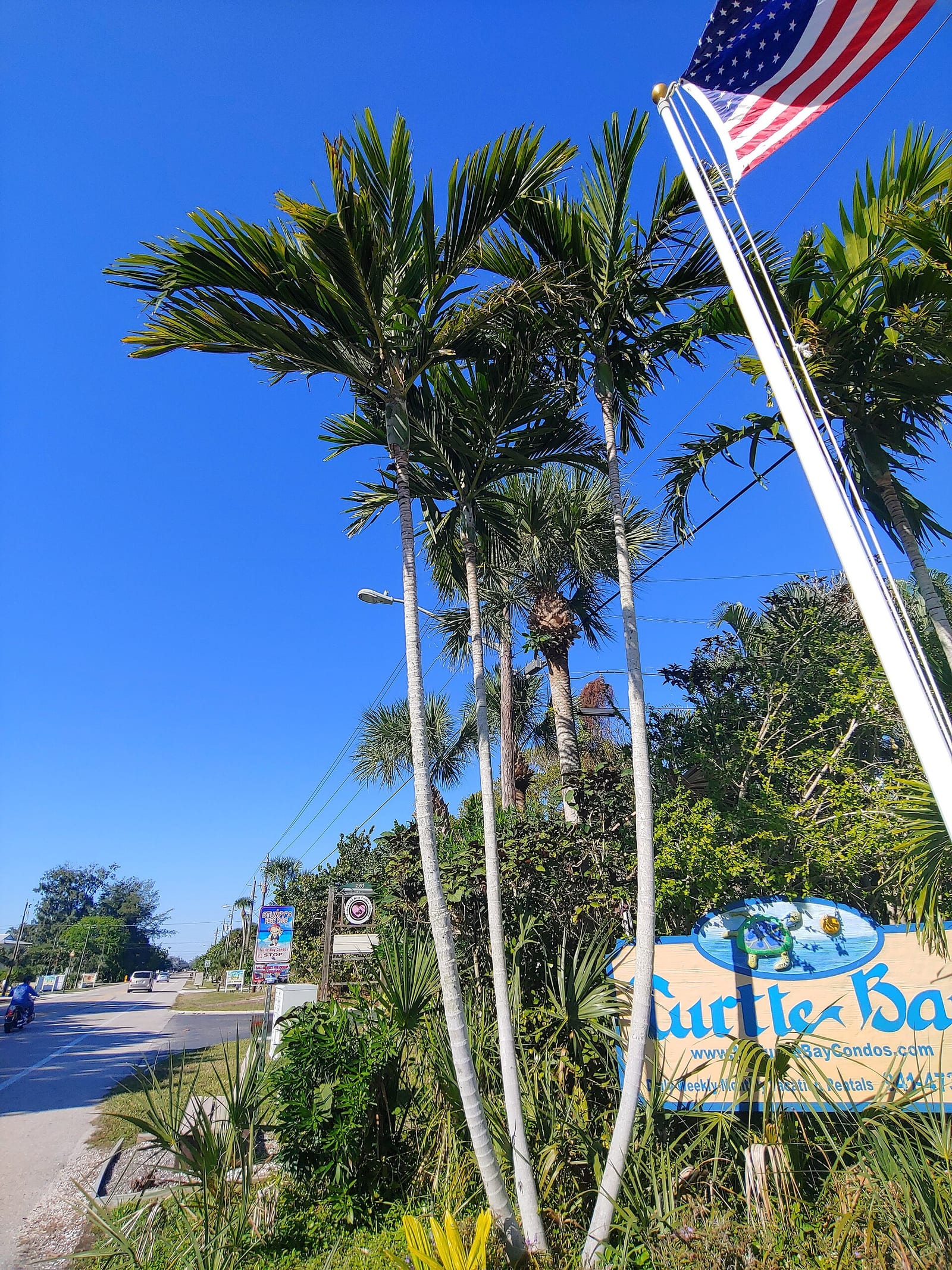 Englewood Beach: palm trees, American flag, and beach resort signage along coastal road