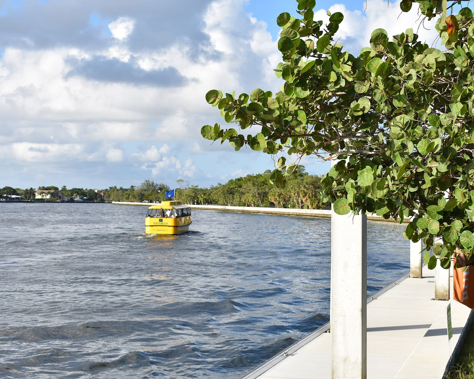 Fort Lauderdale Beach: waterfront dock with yellow boat, mangrove vegetation, distant shoreline