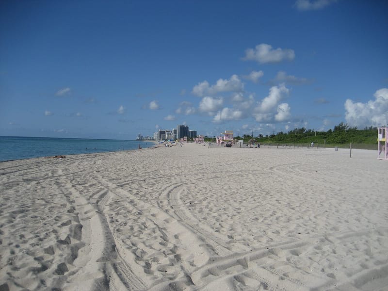 Haulover Nude Beach: sandy beach with cityscape skyline and ocean under blue sky