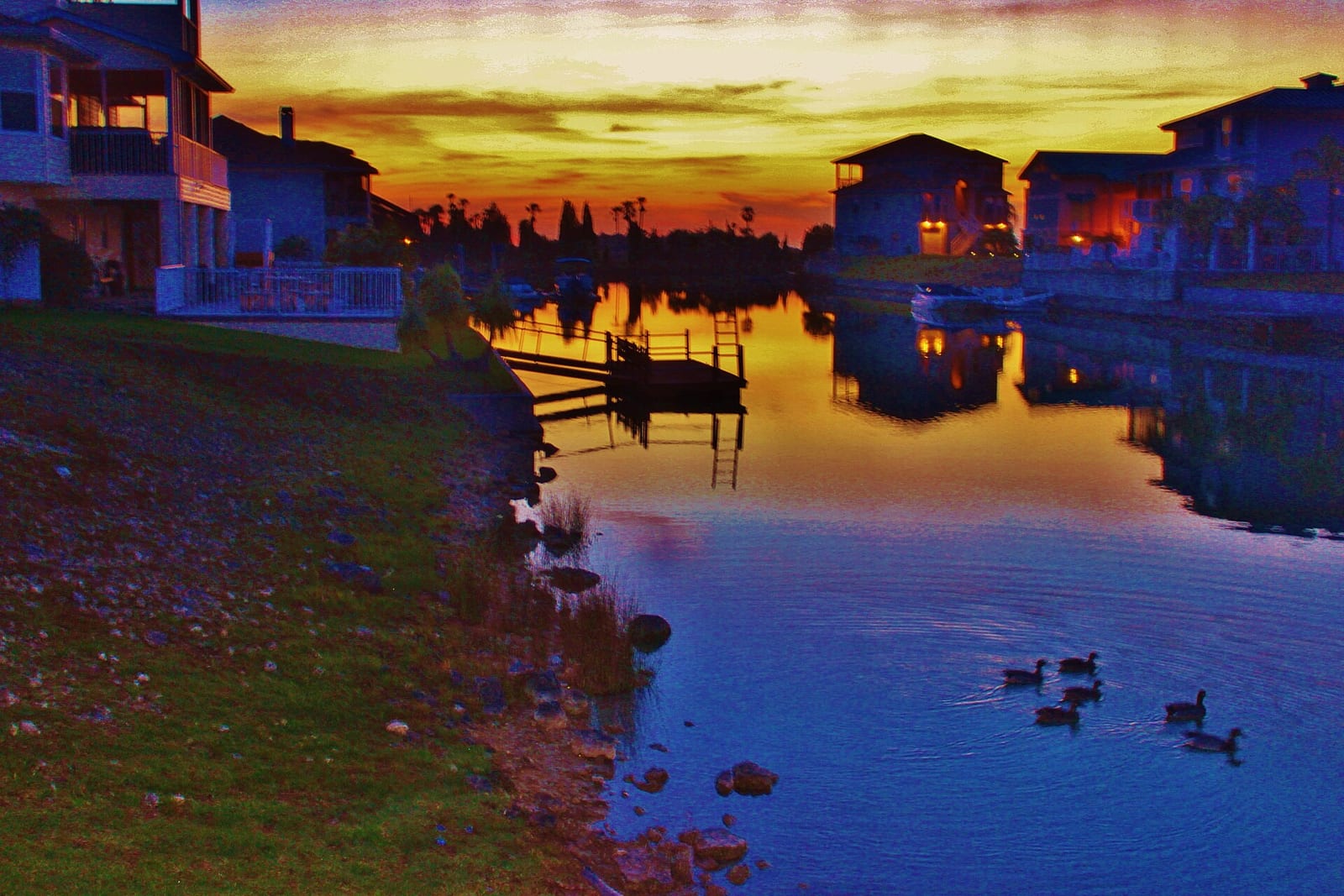Hernando Beach: waterfront houses and boats at sunset with ducks swimming