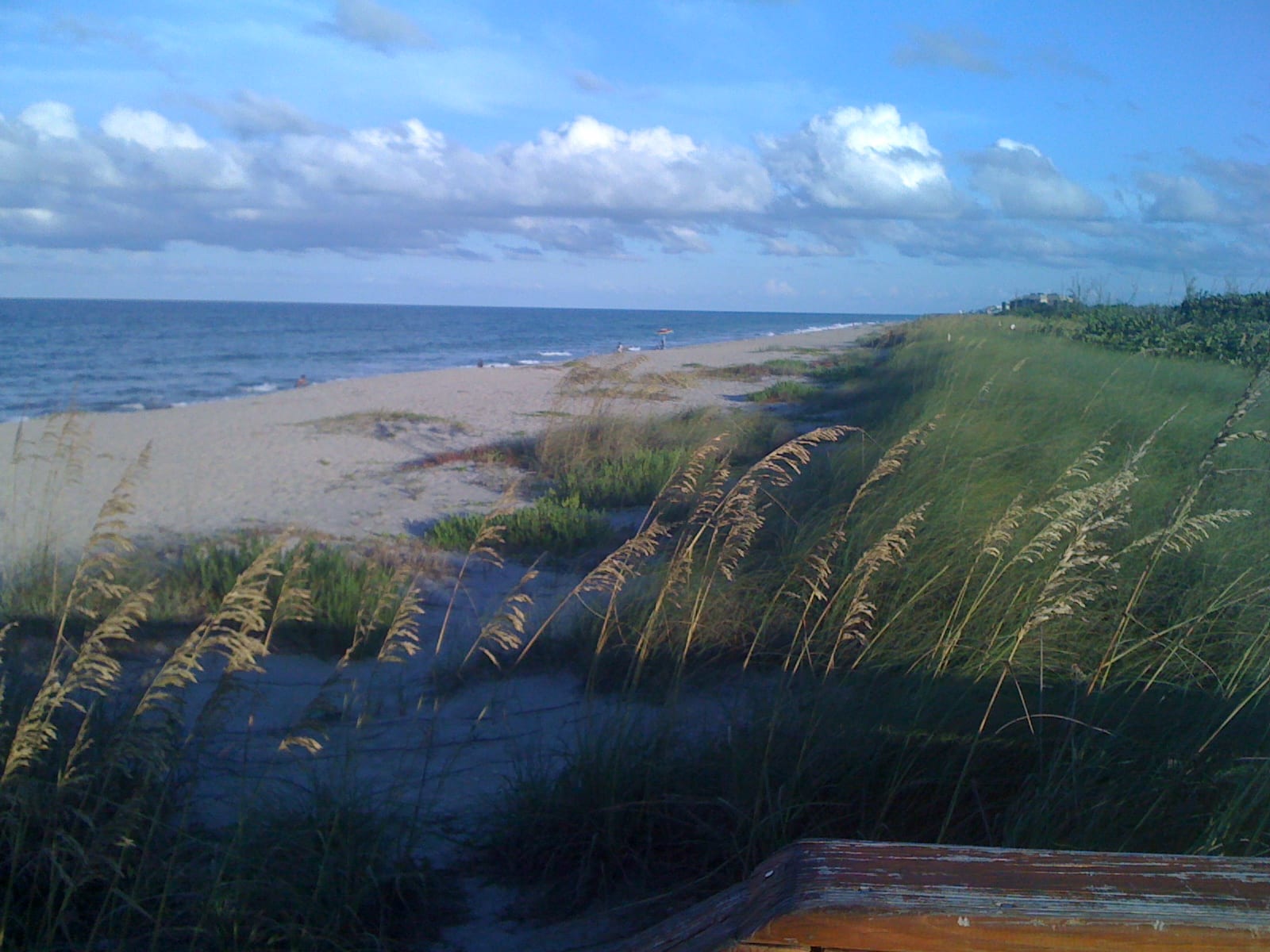 Jensen Beach: beach with dunes, marsh grasses, water, and cloudy sky