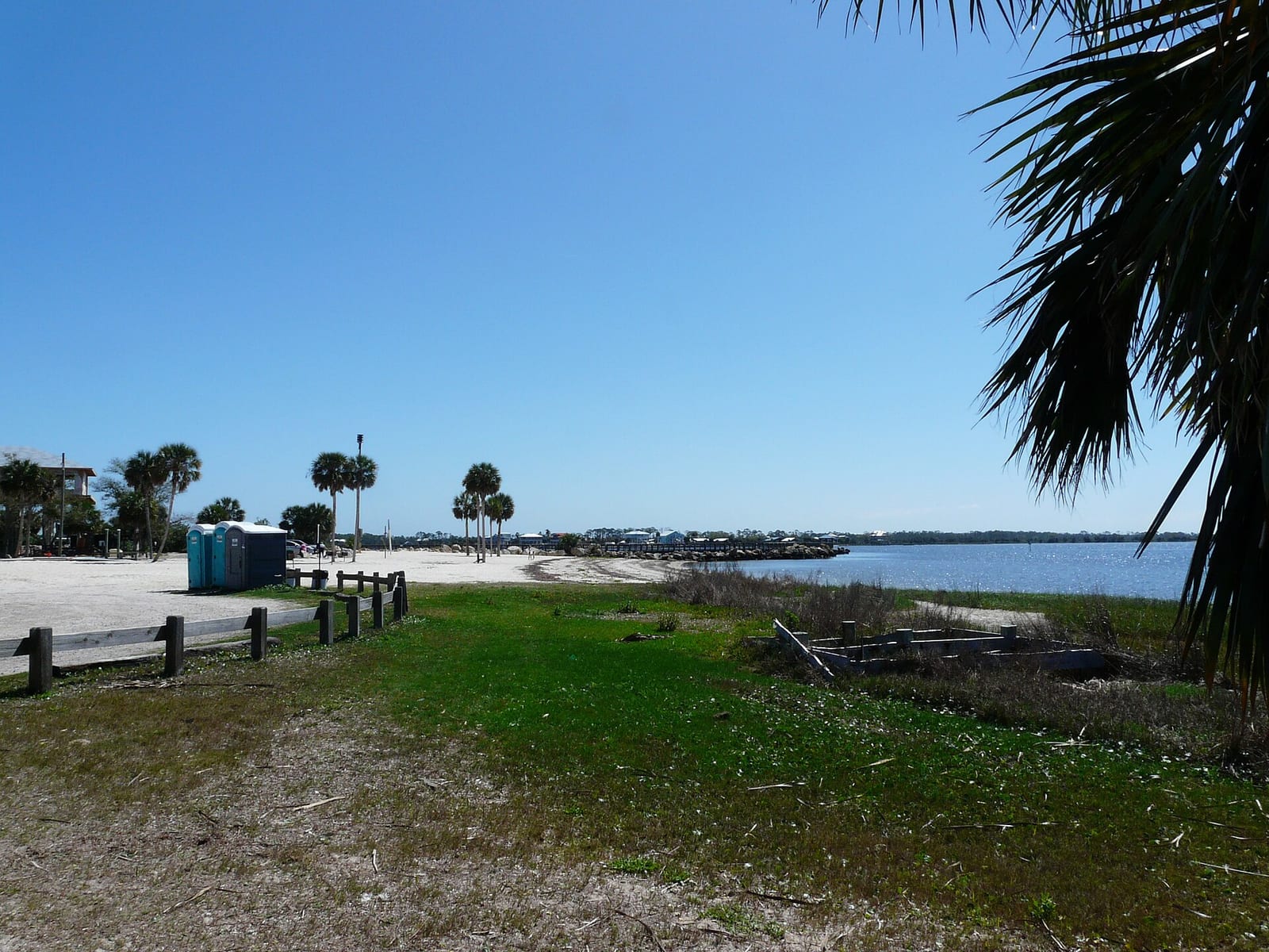 Keaton Beach: beach shoreline with palm trees, grass, pier, and distant waterfront buildings