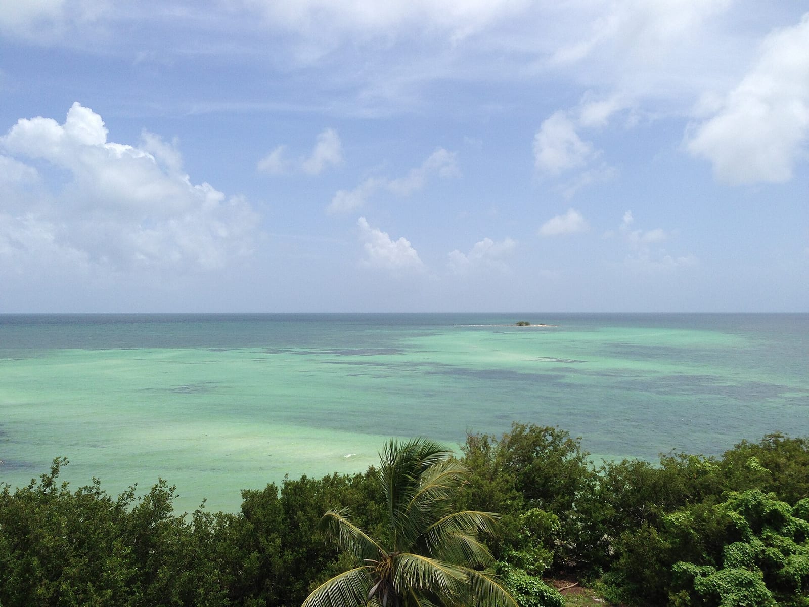 Loggerhead Beach: tropical coastal view with turquoise water, mangroves, and distant boat