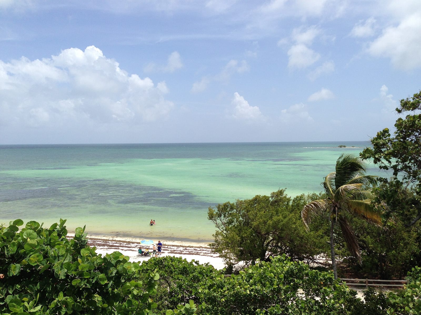 Loggerhead Beach: tropical beach with turquoise water, white sand, palm trees, vegetation