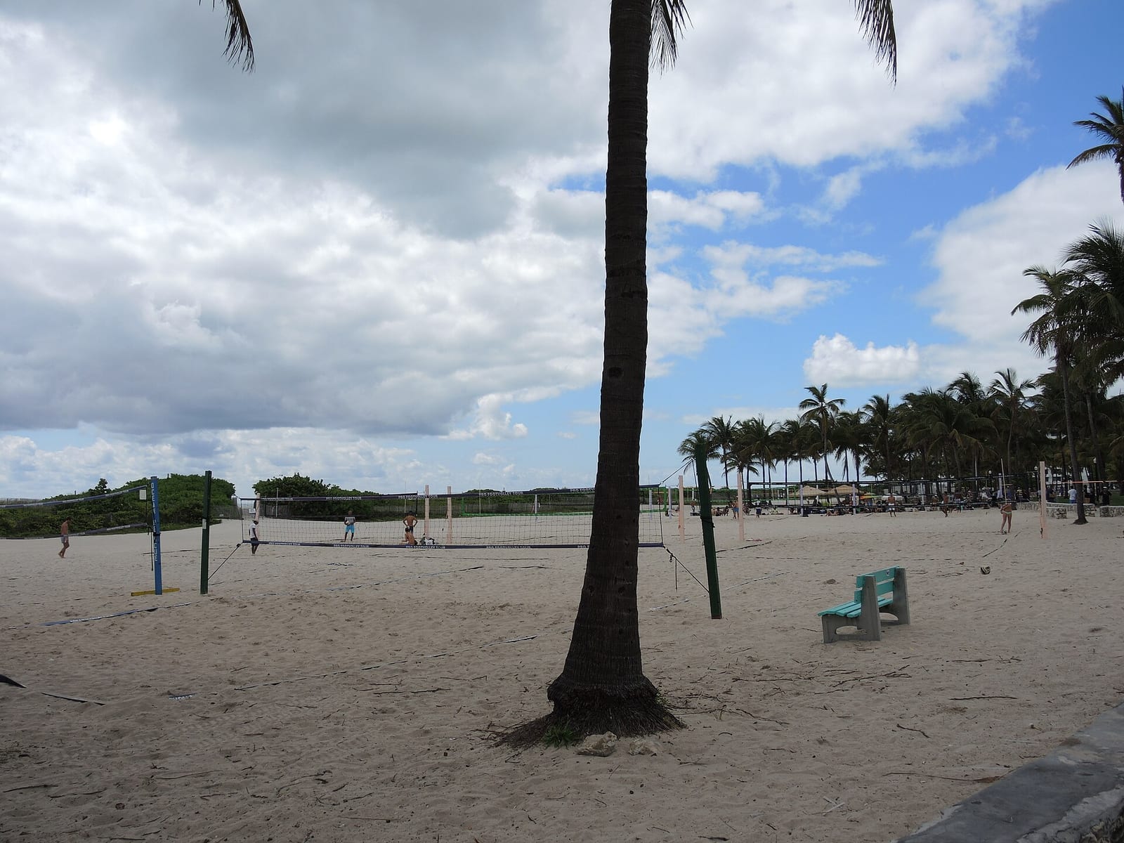 Miami Beach: beach with palm tree, volleyball nets, and distant beachgoers