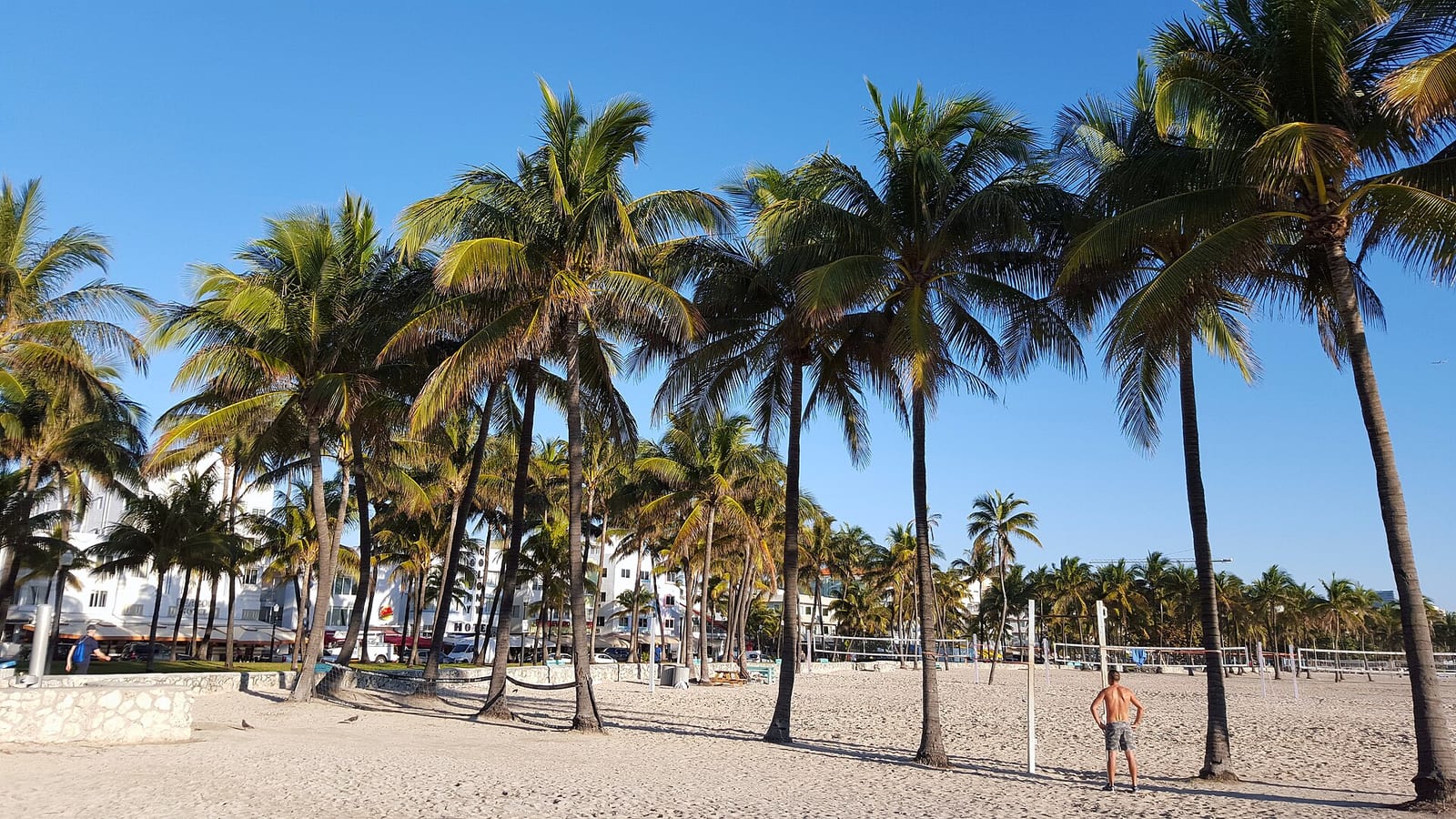 Miami Beach: sandy beach with palm trees, buildings, and distant beachgoer