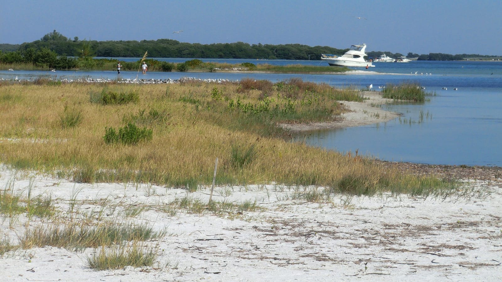 North Beach: sandy beach with dunes, marsh grass, boats anchored in blue water