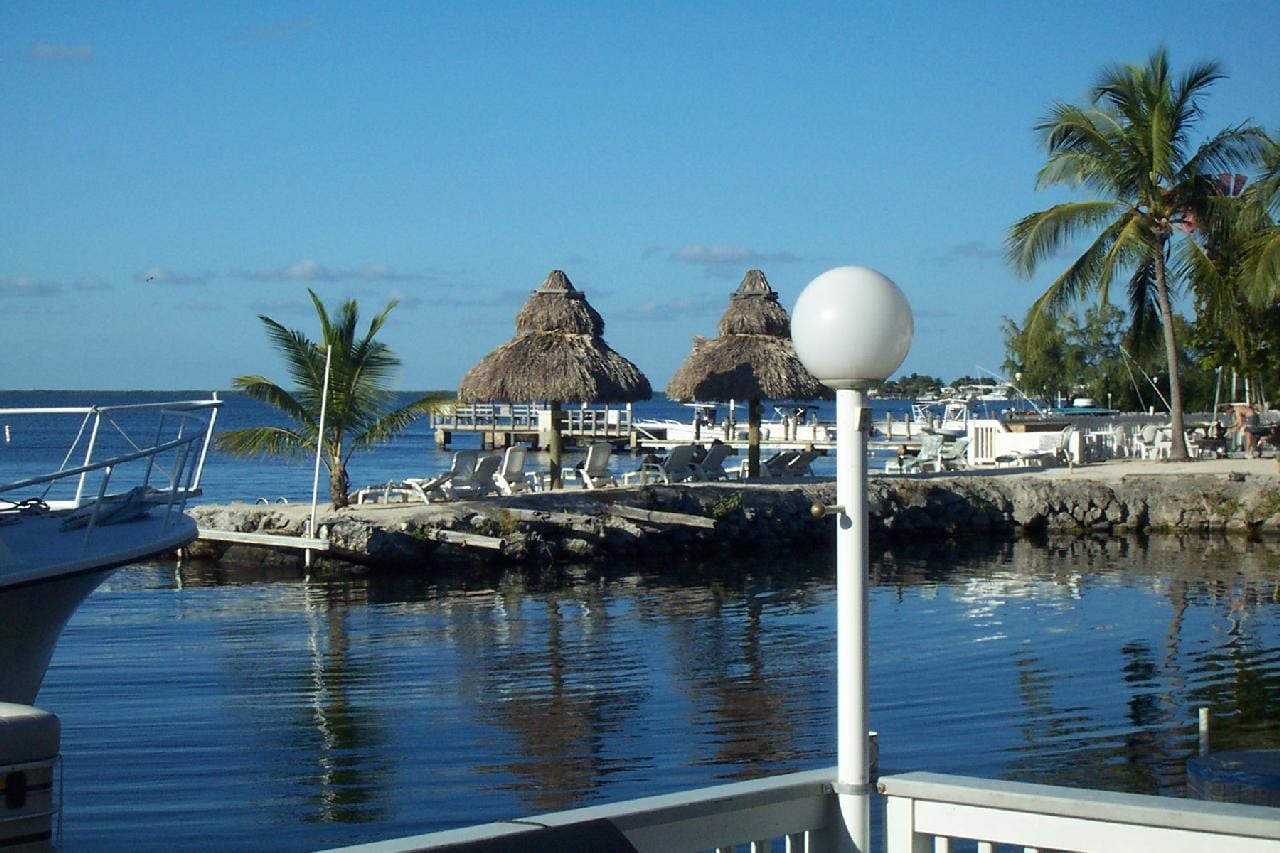 North Beach: tropical harbor with boats, thatched-roof structures, palm trees, pier