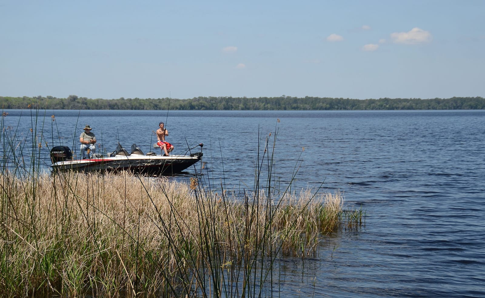 Olustee Beach: fishing boat with people on calm water near marsh grass