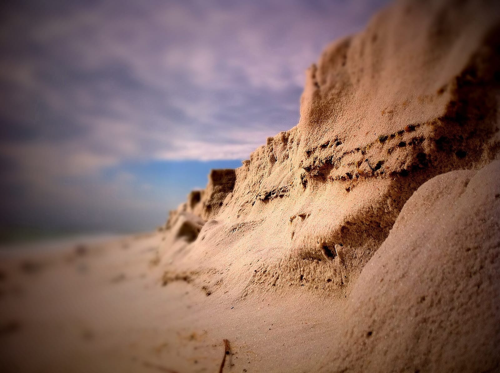 Park West On-Leash Dog Beach: sand dunes and eroded cliff face along beach shoreline