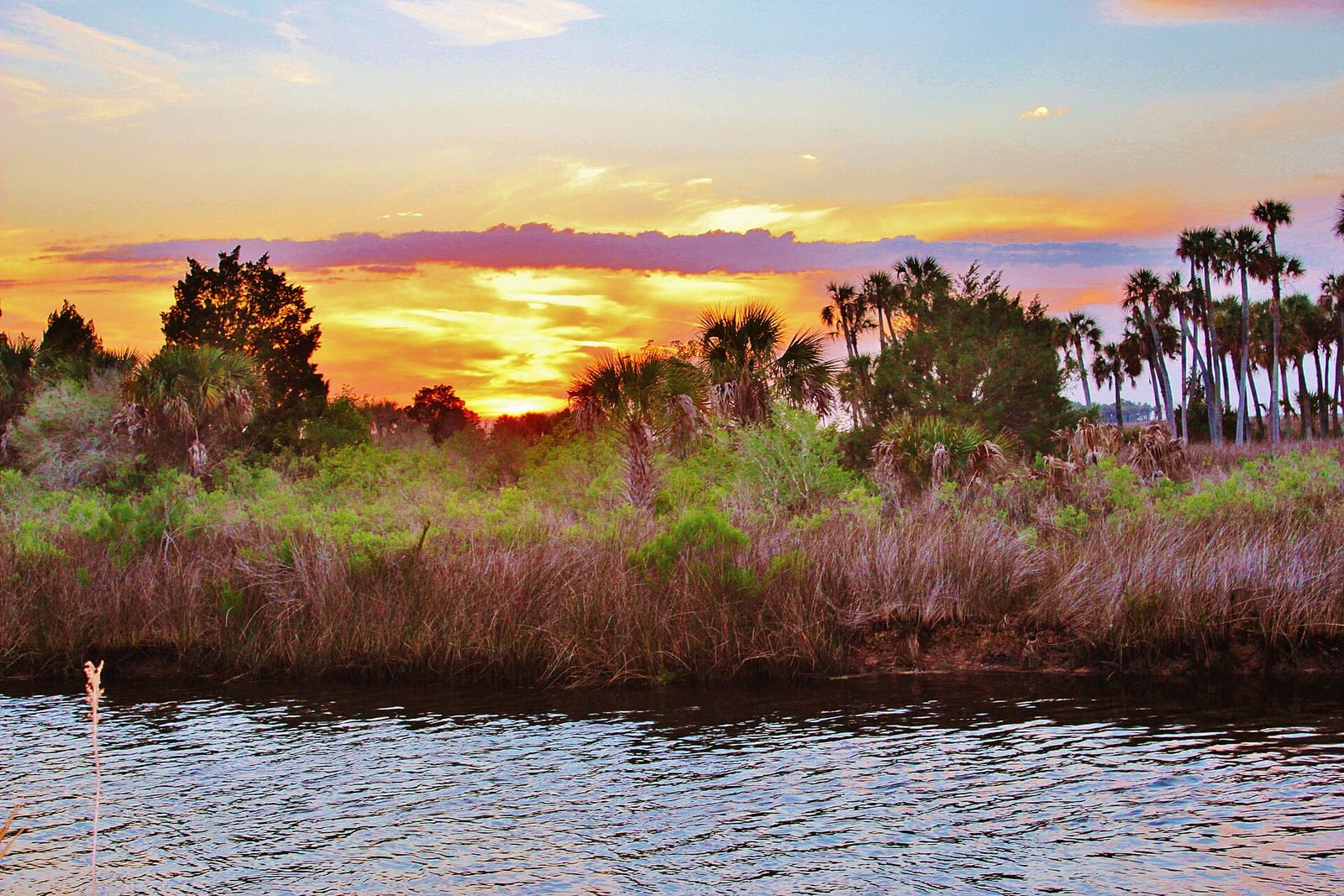 Pine Island Park: sunset over waterway with palm trees and marshland vegetation