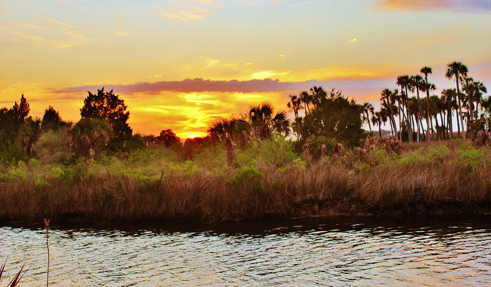 Pine Island Park: sunset over waterway with marsh grasses, palm trees, and distant vegetation