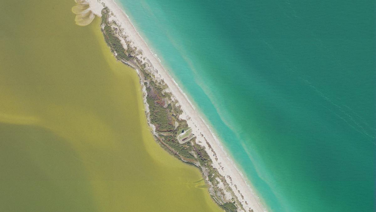 Aerial view of Playalinda Beach (Nudist Area) in Florida, shoreline and surroundings, USDA NAIP imagery from May 2023