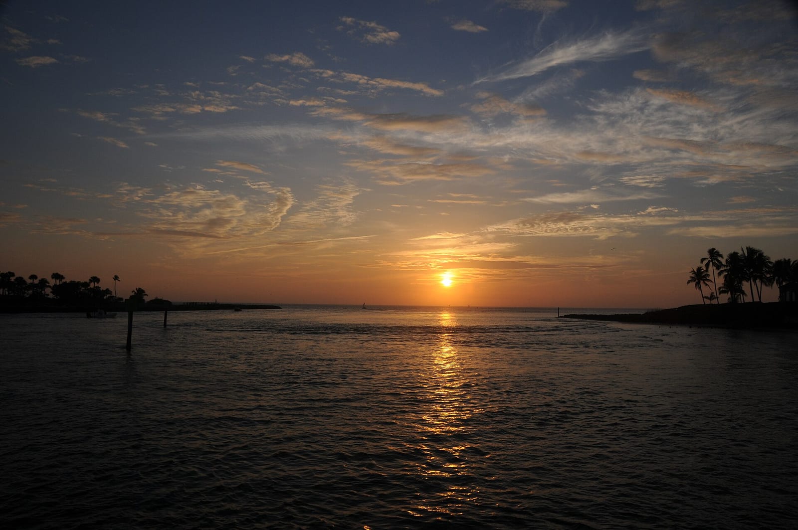 Public Access: sunset over water with palm trees and wooden pier post