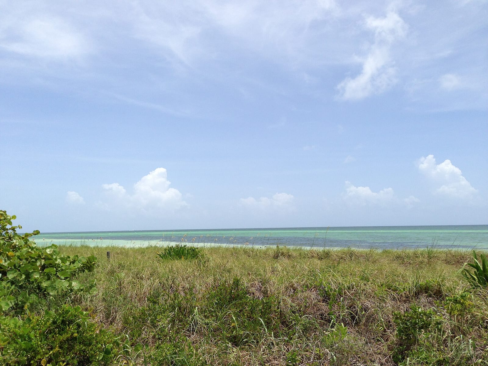 Sandspur Beach: coastal marsh and shallow water under partly cloudy sky