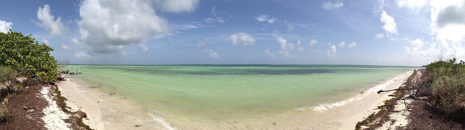 Sandspur Beach: turquoise shallow water and sandy beach with vegetation and sky