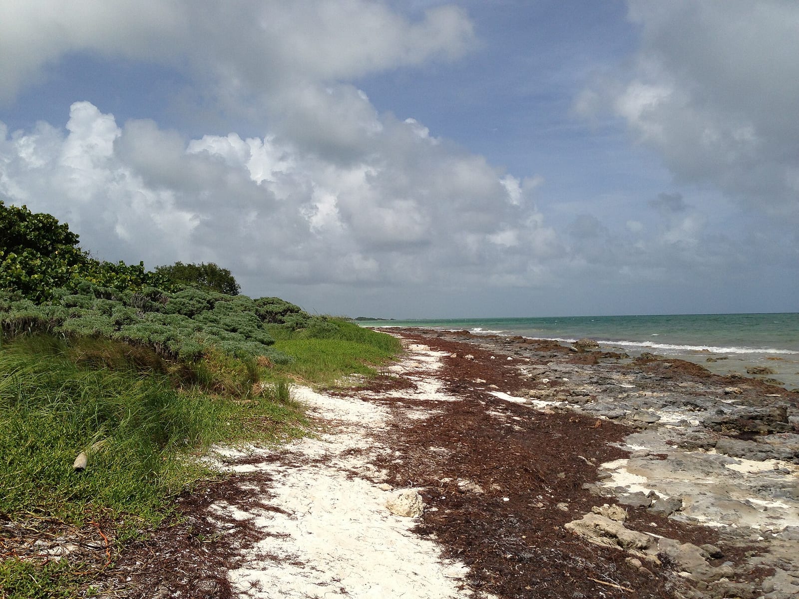 Sandspur Beach: rocky beach with seaweed, vegetation, ocean, and cloudy sky