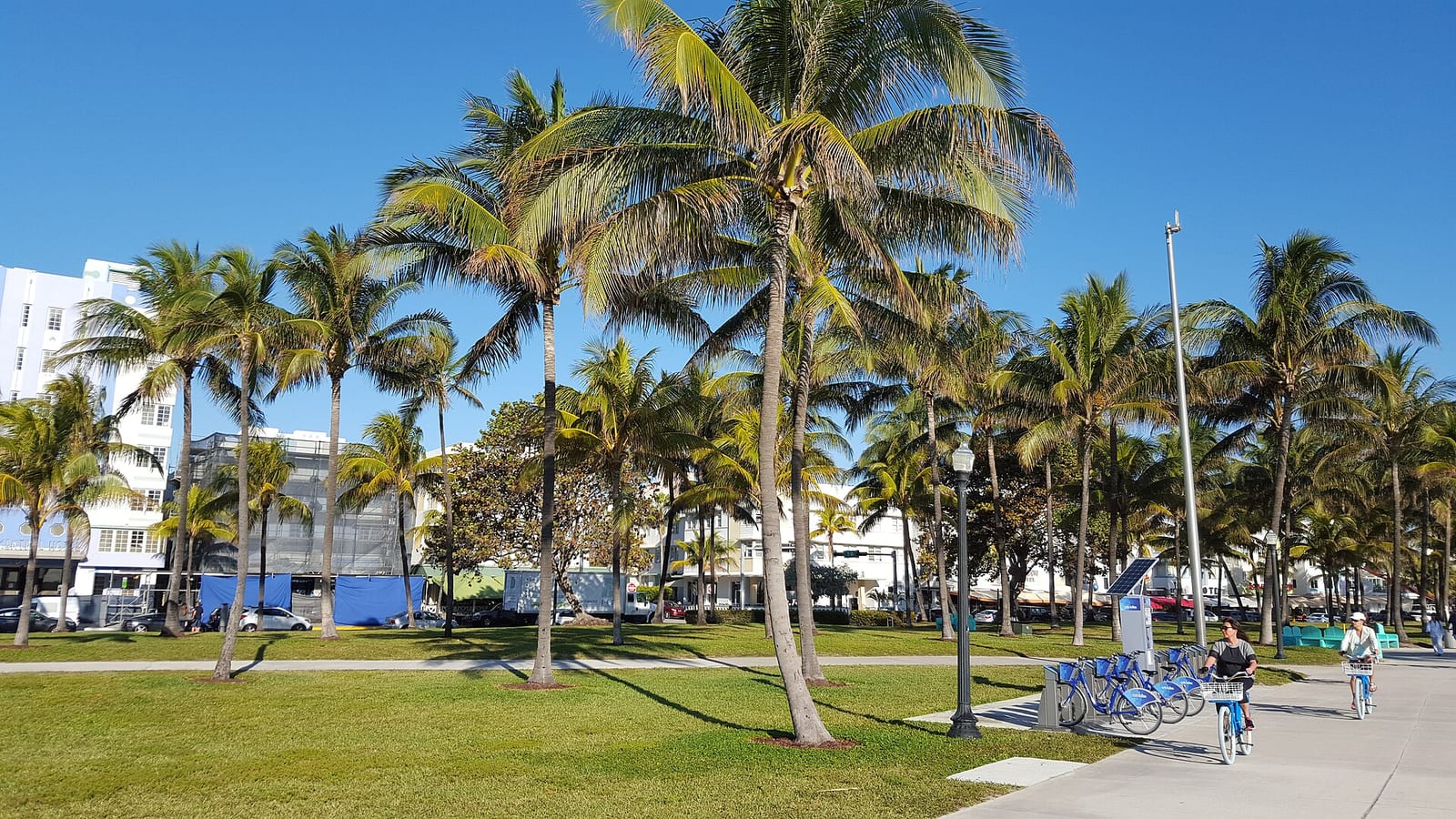 Sandy's Beach: palm trees, lawn, buildings, and cyclists on beachfront promenade