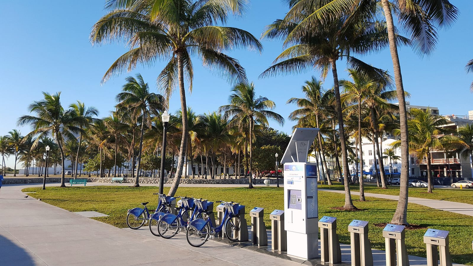 Sandy's Beach: bike rental station on boardwalk with palm trees and buildings