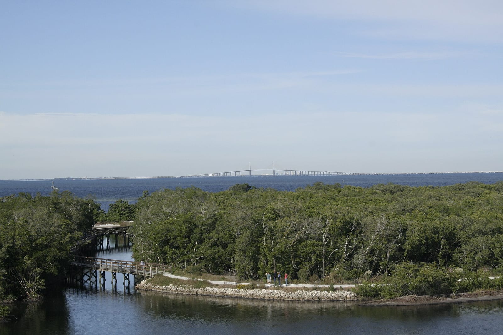Seven Pines: mangrove forest shoreline with bridge visible across distant water