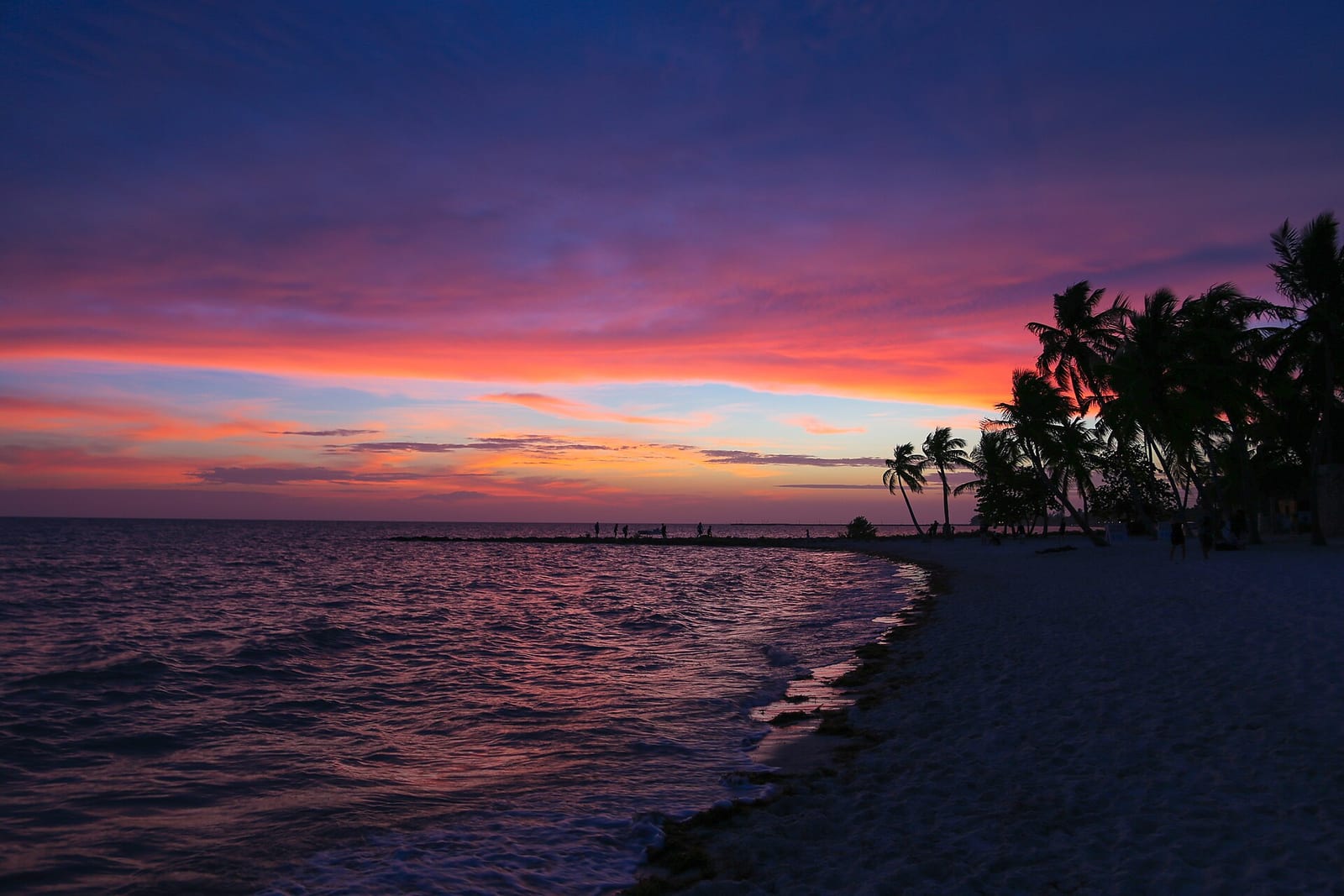 Smathers Beach: sunset over ocean with palm trees on sandy beach shoreline