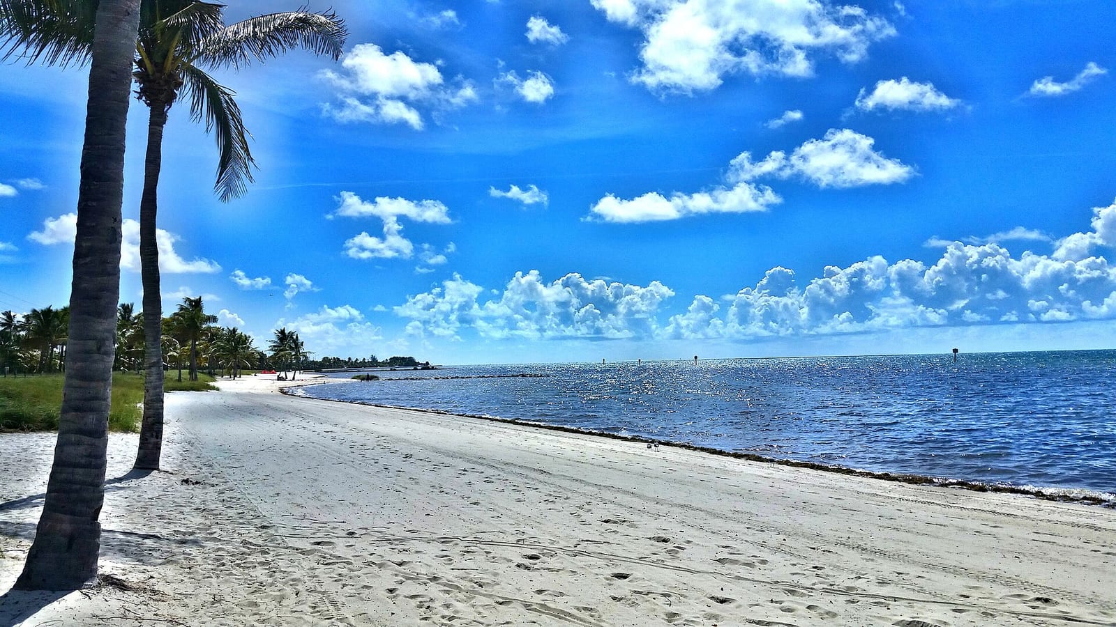 Smathers Beach: sandy beach with palm trees, calm blue water, and clear sky