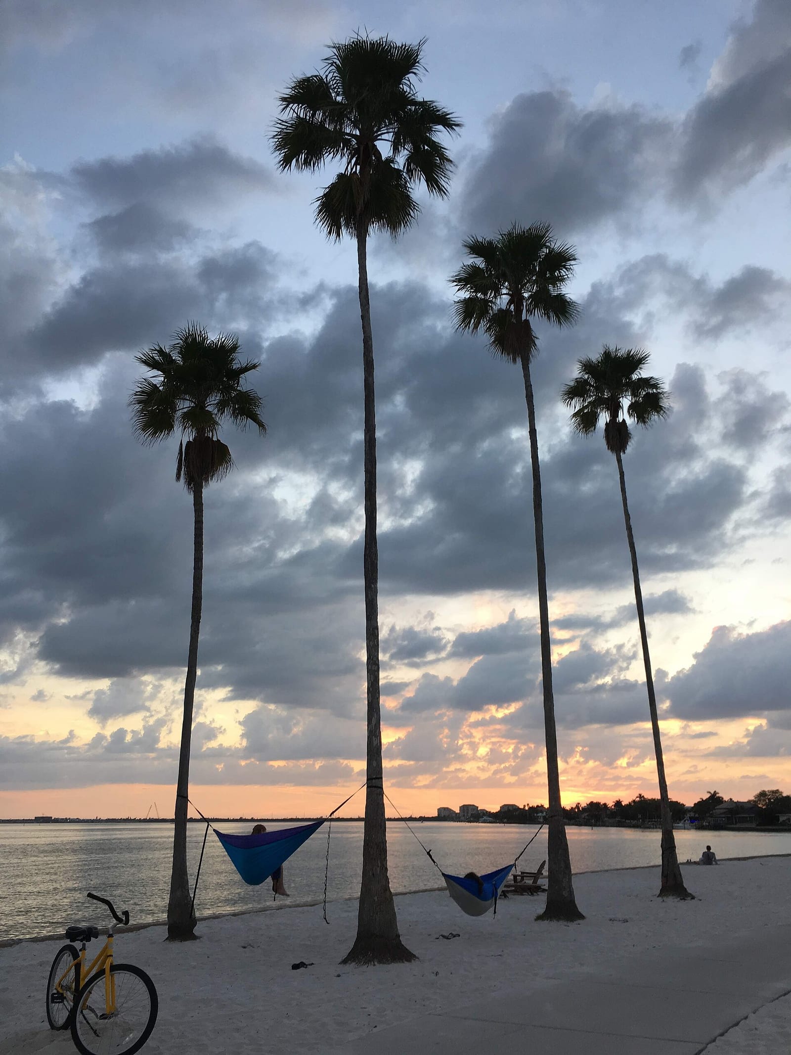 South Beach: palm trees, hammocks, beach, bicycle, sunset over water