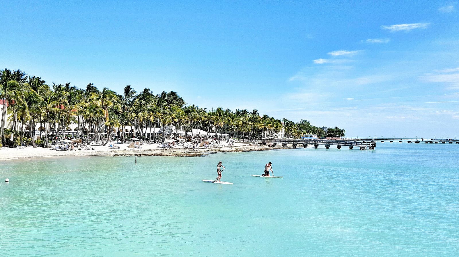 South Beach: tropical beach with palm trees, turquoise water, paddleboarders, pier