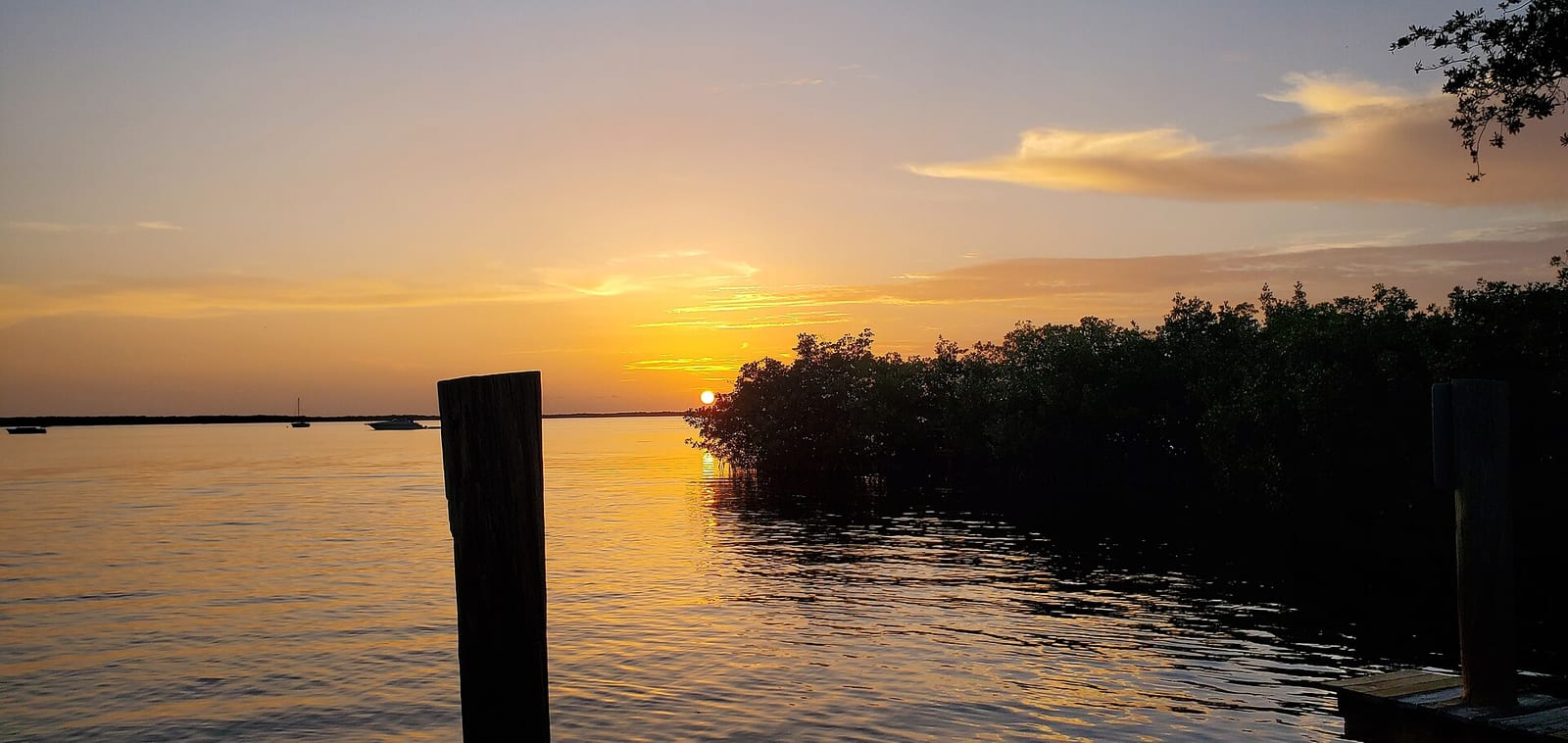 South Beach: sunset over water with mangroves and wooden pier posts