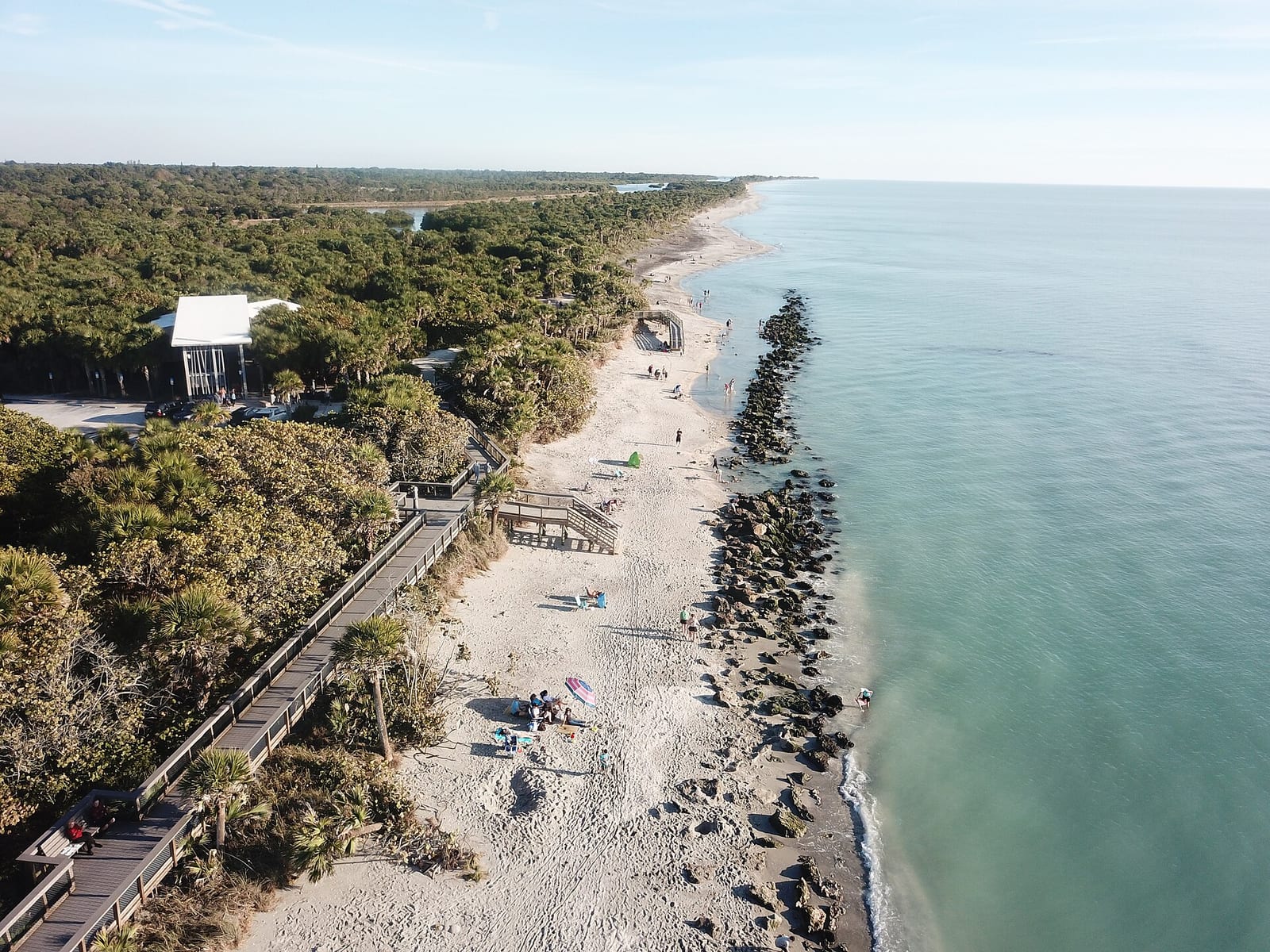 Venice Beach: aerial view of sandy beach with vegetation, wooden pier, and turquoise water