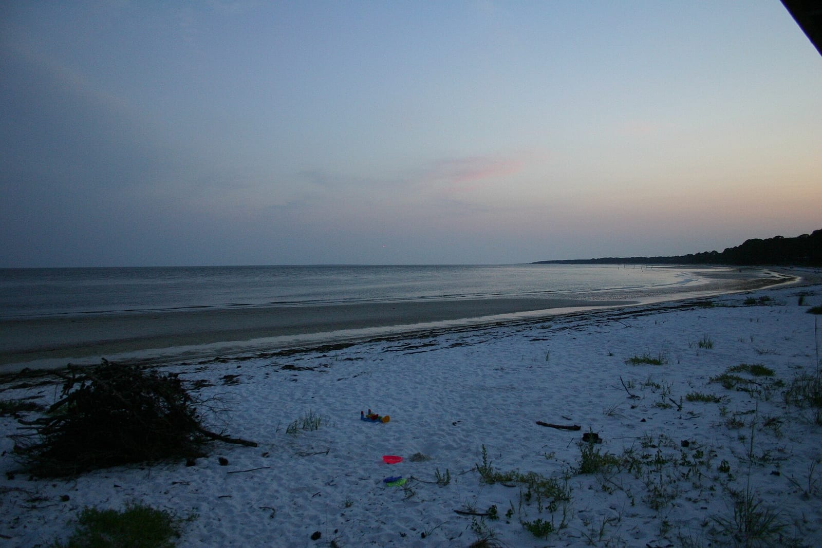 Wilson Beach: sandy beach at dusk with driftwood, sparse vegetation, calm water
